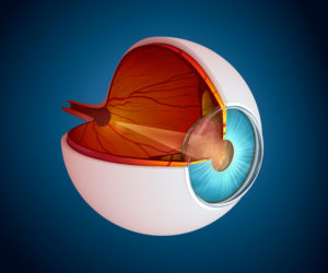 Health Eye | Bionic Eye Surgery Honolulu Hawaii